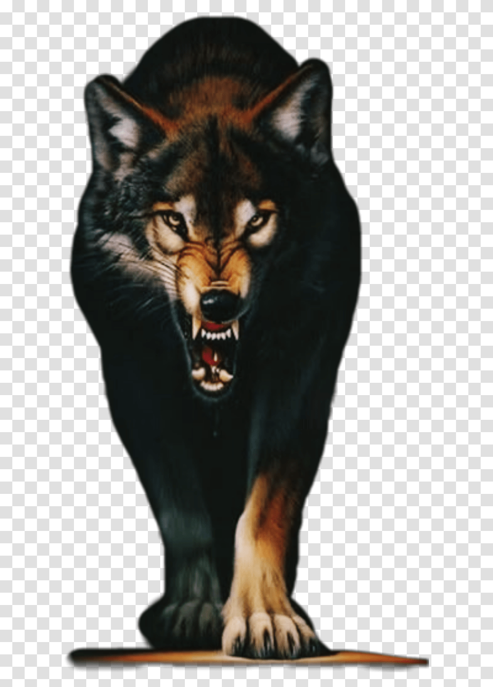 Angry Wolf Animals Mouth Angry Wolf Images Hd, Mammal, Cat, Pet Transparent Png