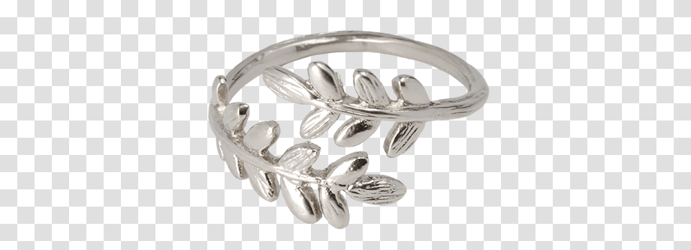 Anillos Acero Inoxidable Mujer, Jewelry, Accessories, Accessory, Brooch Transparent Png