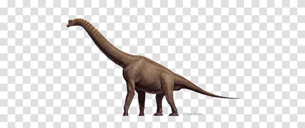 Anim Dinosaur Imag Reptil Spinosaurus, Reptile, Animal, T-Rex Transparent Png