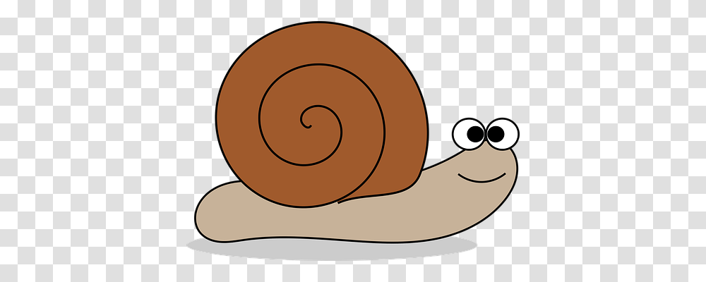 Animal Nature, Snail, Invertebrate Transparent Png