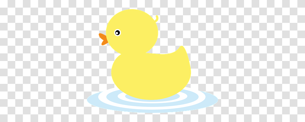 Animal Nature, Duck, Bird, Waterfowl Transparent Png