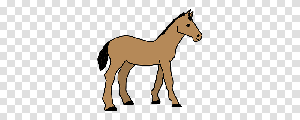 Animal Animals, Foal, Horse, Mammal Transparent Png