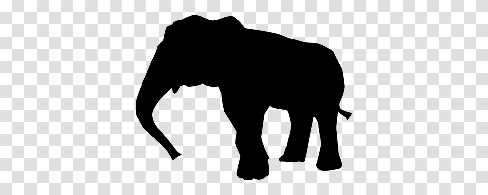 Animal Animals, Gray, World Of Warcraft Transparent Png