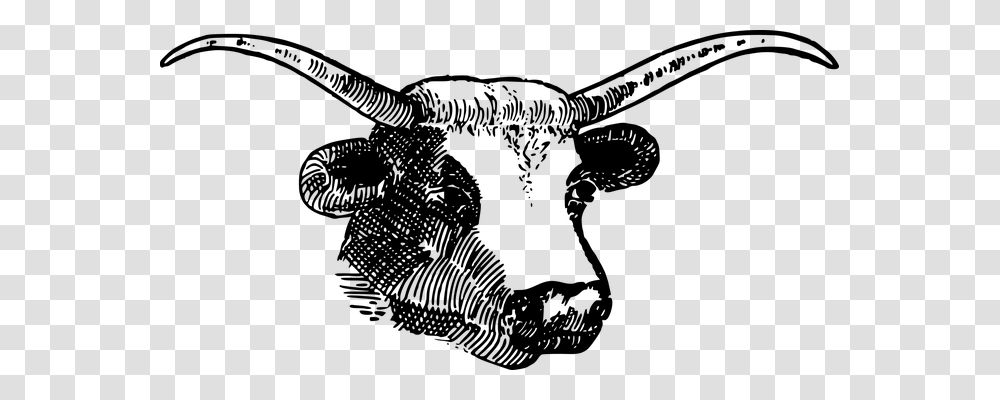 Animal Animals, Gray, World Of Warcraft Transparent Png