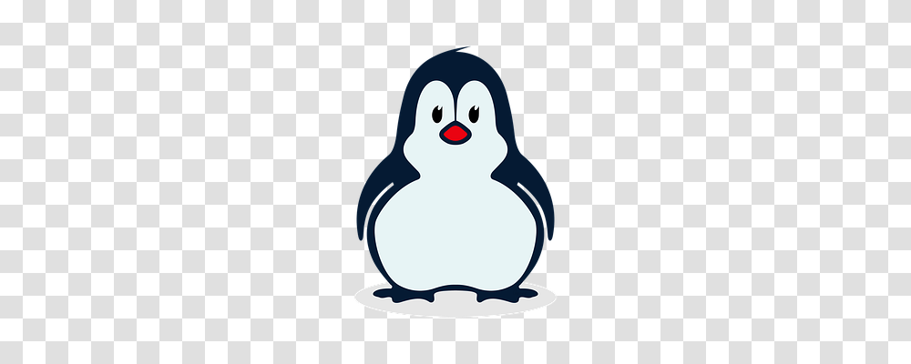Animal Animals, Bird, Penguin, Snowman Transparent Png