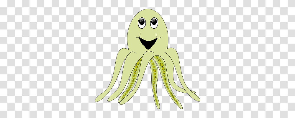 Animal Holiday, Invertebrate, Octopus, Sea Life Transparent Png