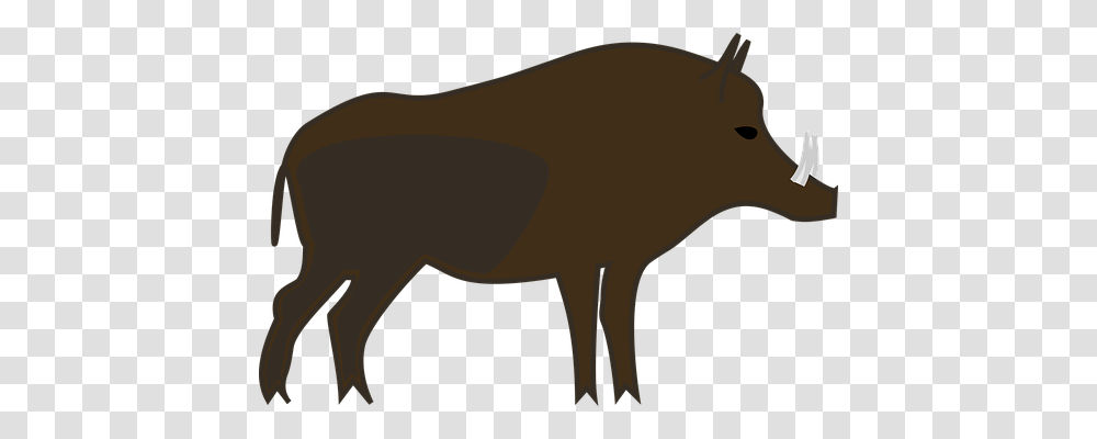 Animal Nature, Wildlife, Mammal, Deer Transparent Png