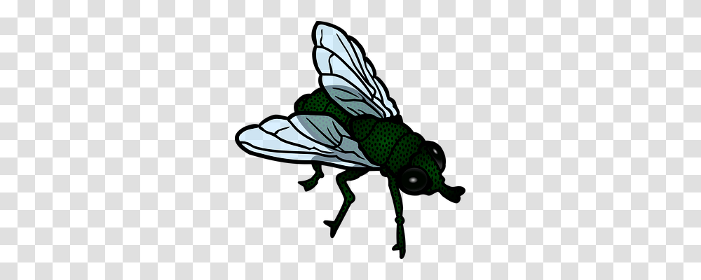 Animal Animals, Insect, Invertebrate, Wasp Transparent Png