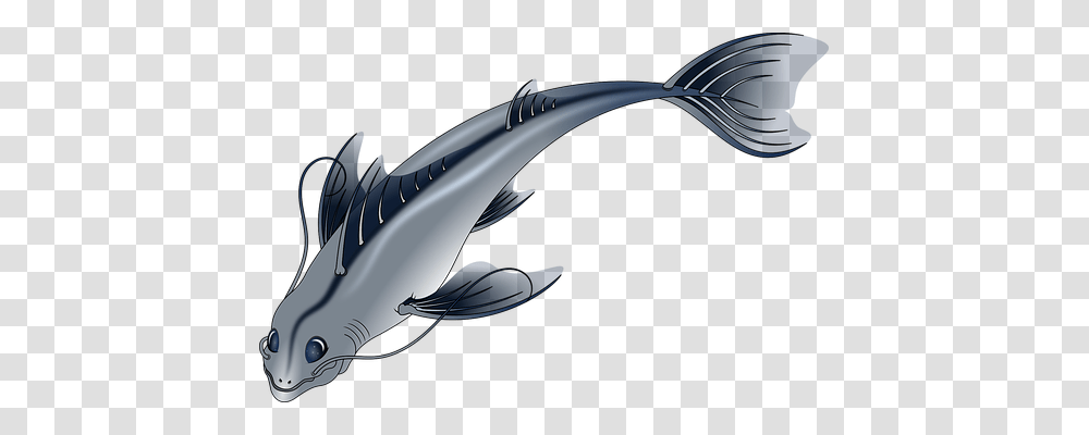 Animal Nature, Sea Life, Fish, Tuna Transparent Png