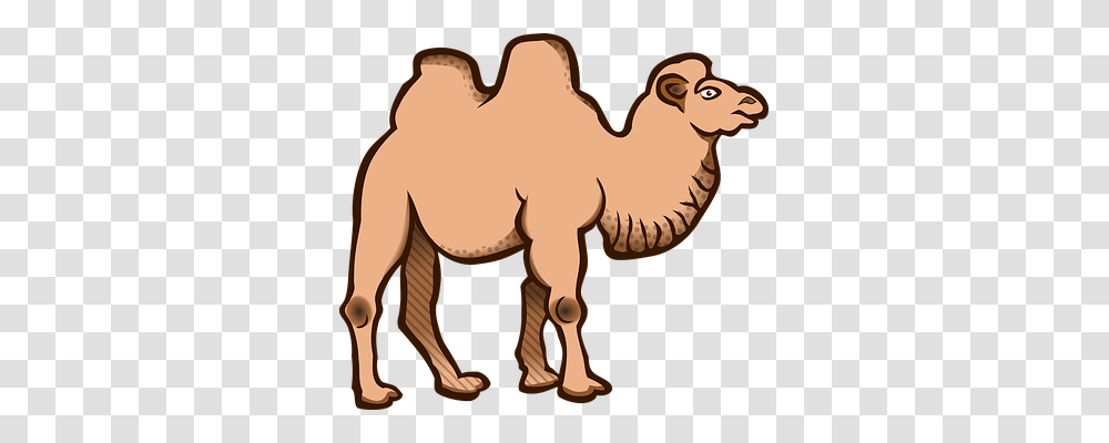 Animal Animals, Camel, Mammal, Horse Transparent Png