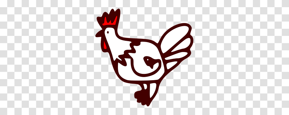 Animal Animals, Poultry, Fowl, Bird Transparent Png