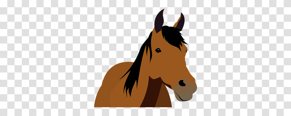 Animal Animals, Horse, Mammal, Nature Transparent Png