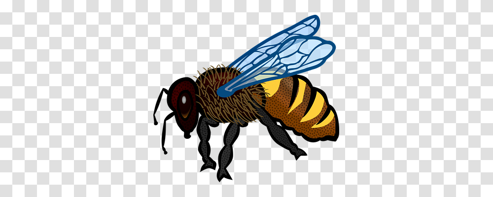 Animal Animals, Wasp, Bee, Insect Transparent Png