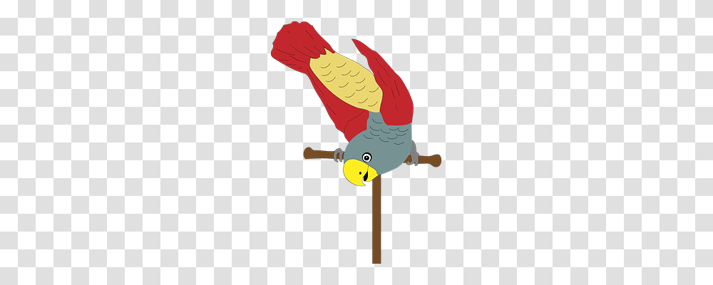 Animal Emotion, Bird, Parrot, Finch Transparent Png