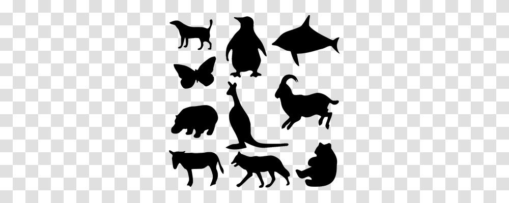 Animal Animals, Gray, World Of Warcraft Transparent Png