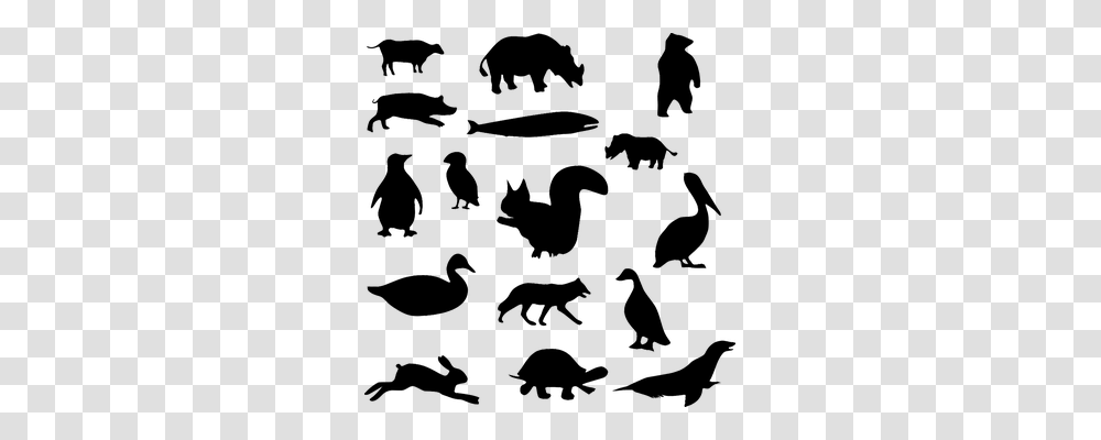 Animal Animals, Gray, World Of Warcraft Transparent Png