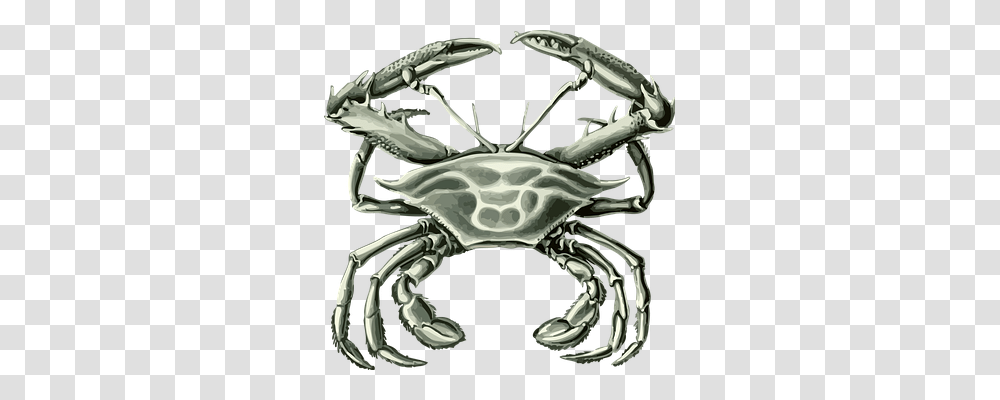 Animal Nature, Crab, Seafood, Sea Life Transparent Png