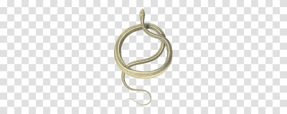 Animal Animals, Rope, Knot Transparent Png
