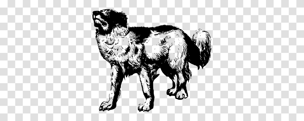 Animal Animals, Gray, World Of Warcraft Transparent Png