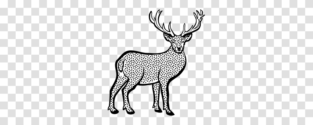 Animal Animals, Antelope, Wildlife, Mammal Transparent Png