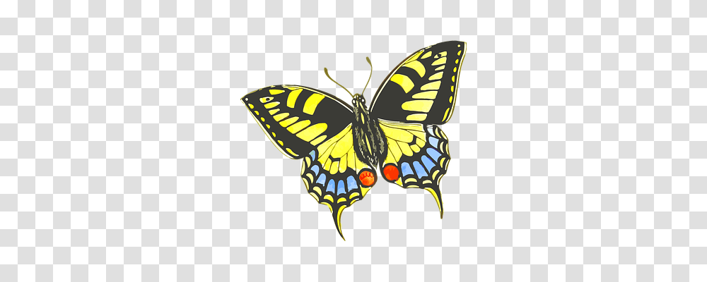 Animal Animals, Butterfly, Insect, Invertebrate Transparent Png