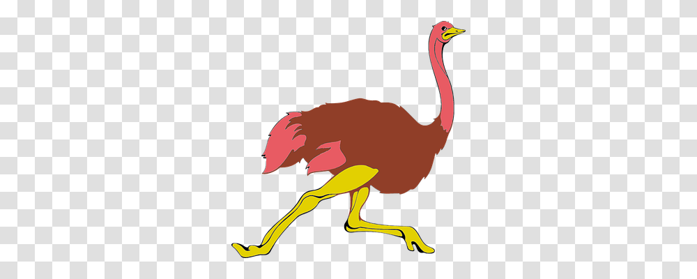 Animal Animals, Bird, Antelope, Wildlife Transparent Png