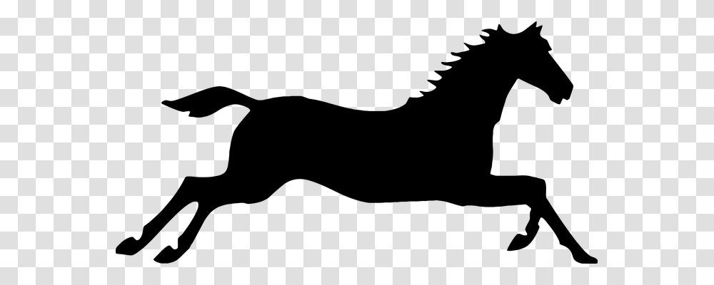 Animal Animals, Gray, World Of Warcraft Transparent Png