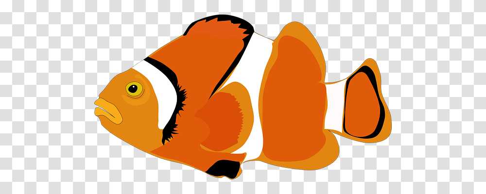 Animal Nature, Food, Couch Transparent Png