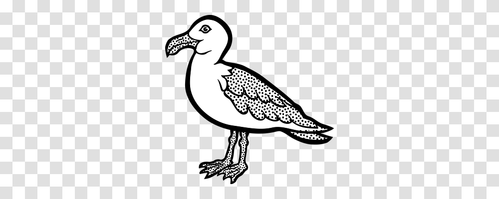 Animal Animals, Bird, Duck, Waterfowl Transparent Png