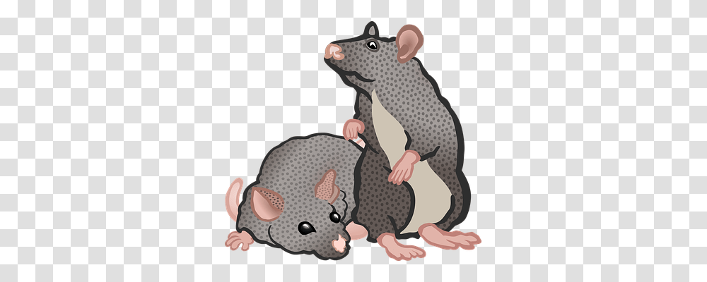 Animal Education, Mammal, Wildlife, Rodent Transparent Png