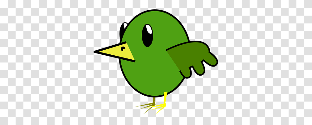 Animal Animals, Bird, Duck Transparent Png