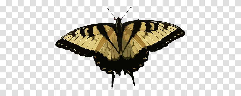 Animal Nature, Butterfly, Insect, Invertebrate Transparent Png