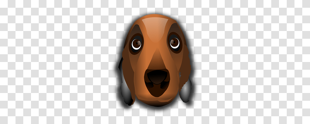 Animal Animals, Snout, Head, Teeth Transparent Png