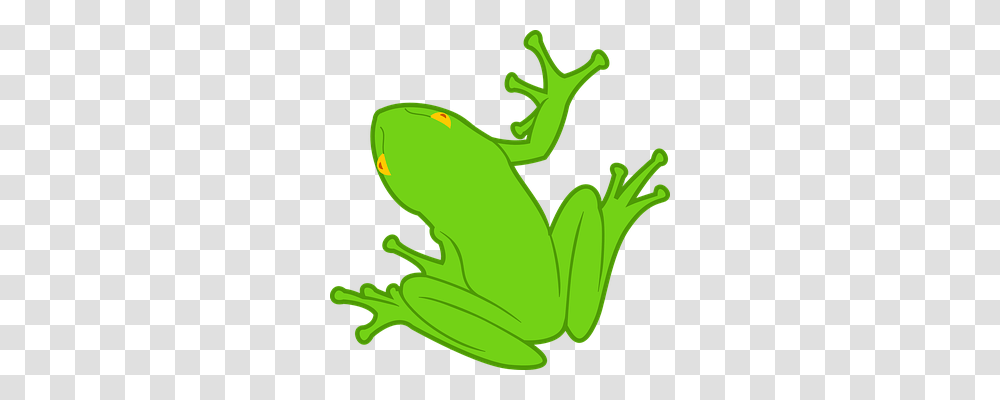 Animal Animals, Frog, Amphibian, Wildlife Transparent Png