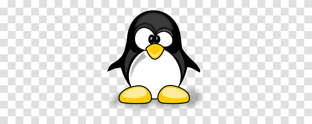 Animal Animals, Bird, Penguin, King Penguin Transparent Png