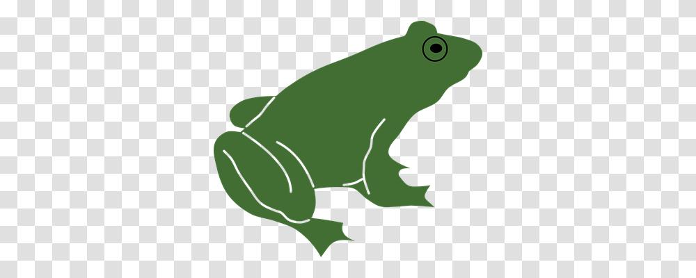 Animal Animals, Frog, Amphibian, Wildlife Transparent Png