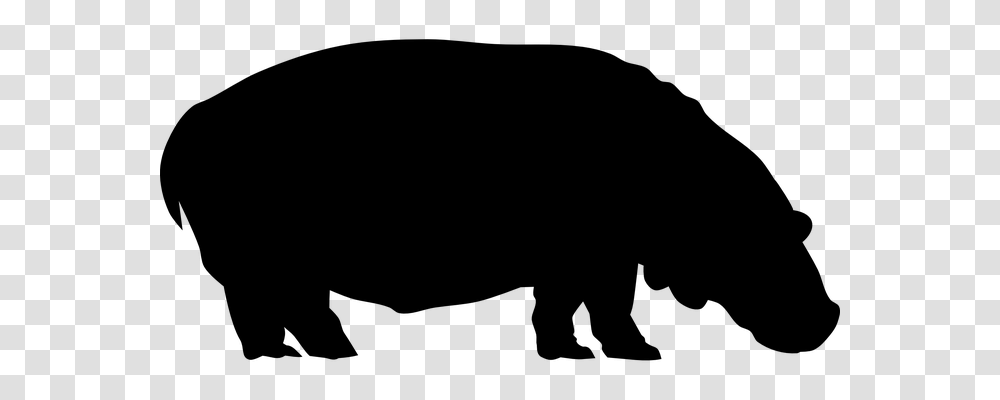 Animal Animals, Gray, World Of Warcraft Transparent Png