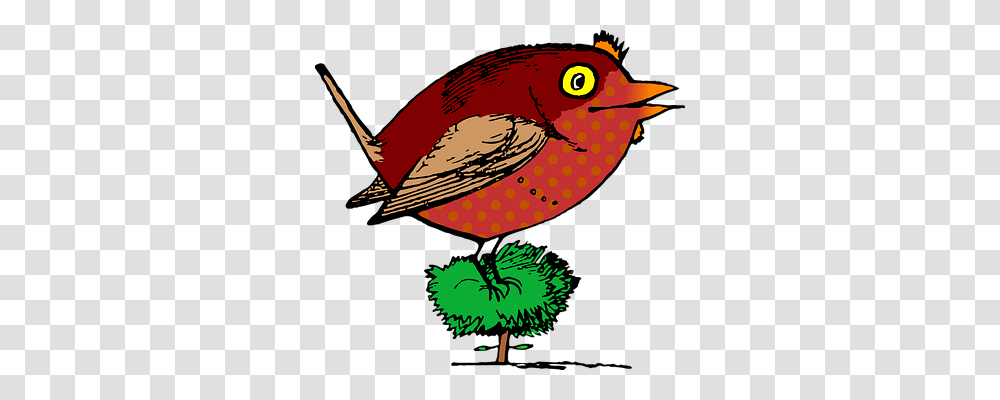 Animal Nature, Bird, Finch Transparent Png