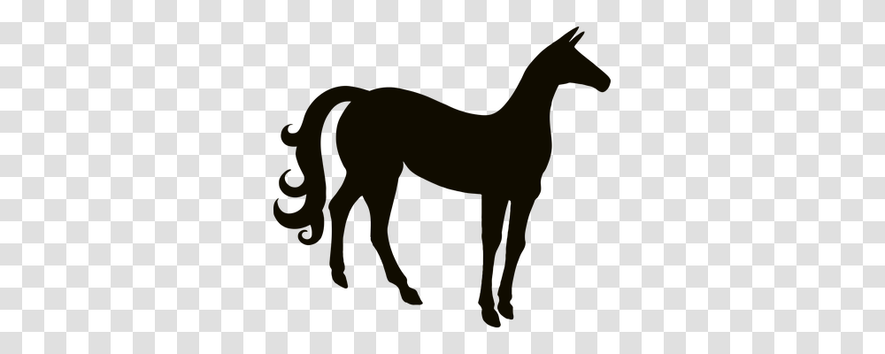 Animal Animals, Horse, Mammal, Foal Transparent Png