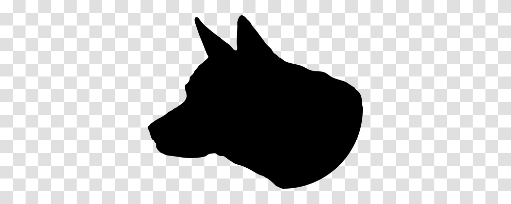 Animal Animals, Gray, World Of Warcraft Transparent Png