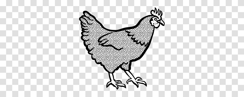 Animal Animals, Fowl, Bird, Poultry Transparent Png