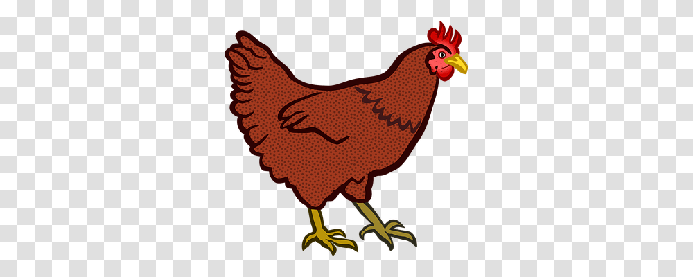 Animal Animals, Bird, Poultry, Fowl Transparent Png