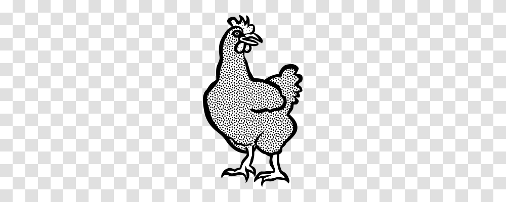 Animal Animals, Stencil, Poultry, Fowl Transparent Png