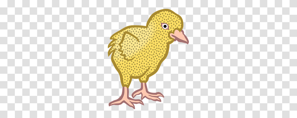 Animal Animals, Bird, Chicken, Poultry Transparent Png