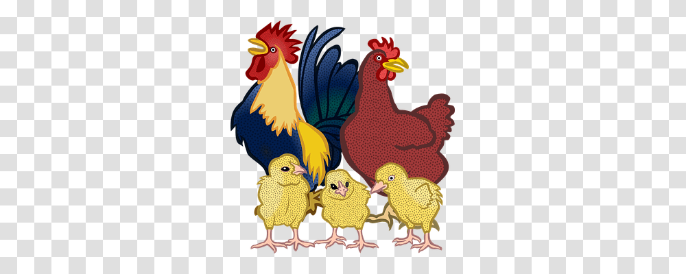 Animal Animals, Poultry, Fowl, Bird Transparent Png