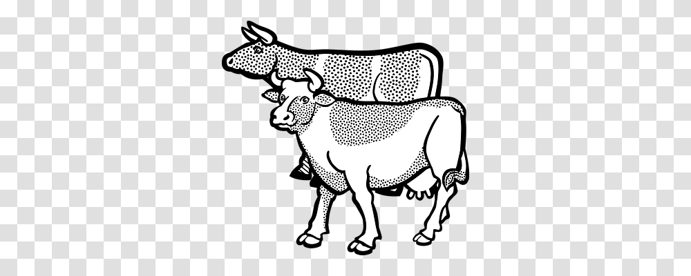 Animal Animals, Bull, Mammal, Cattle Transparent Png