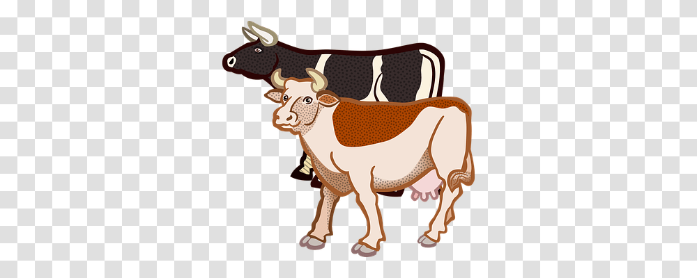 Animal Animals, Mammal, Cow, Cattle Transparent Png