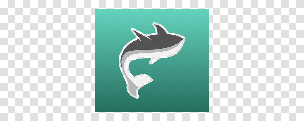 Animal Animals, Shark, Sea Life, Fish Transparent Png