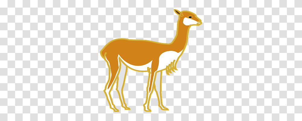 Animal Animals, Antelope, Wildlife, Mammal Transparent Png