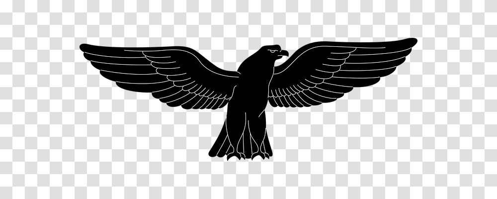 Animal Animals, Eagle, Bird, Flying Transparent Png